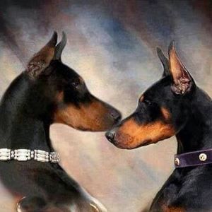 Meet your Posher, Trishtapher